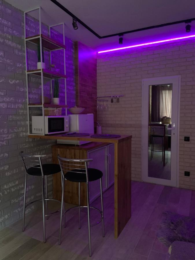 Loft_Apartment Kamjanyi Potoki Kültér fotó