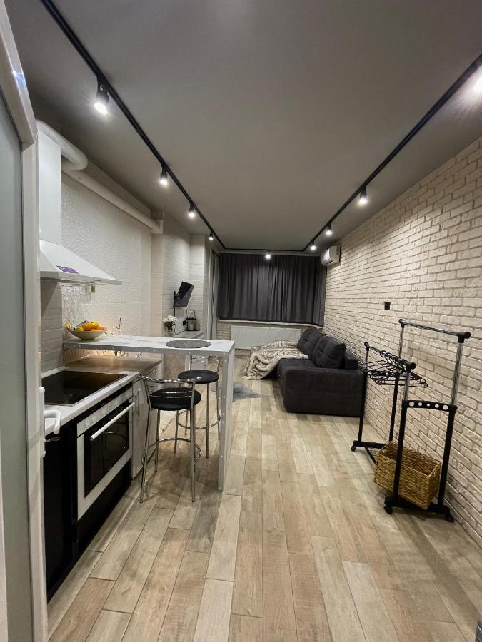 Loft_Apartment Kamjanyi Potoki Kültér fotó