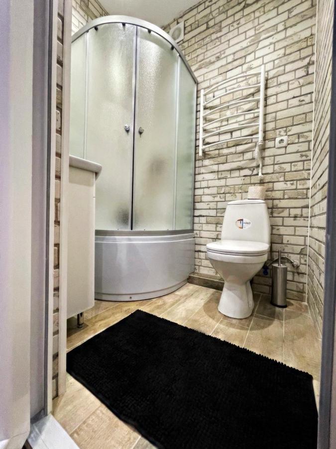 Loft_Apartment Kamjanyi Potoki Kültér fotó